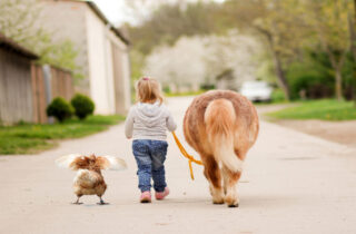 Kinder und Tiere