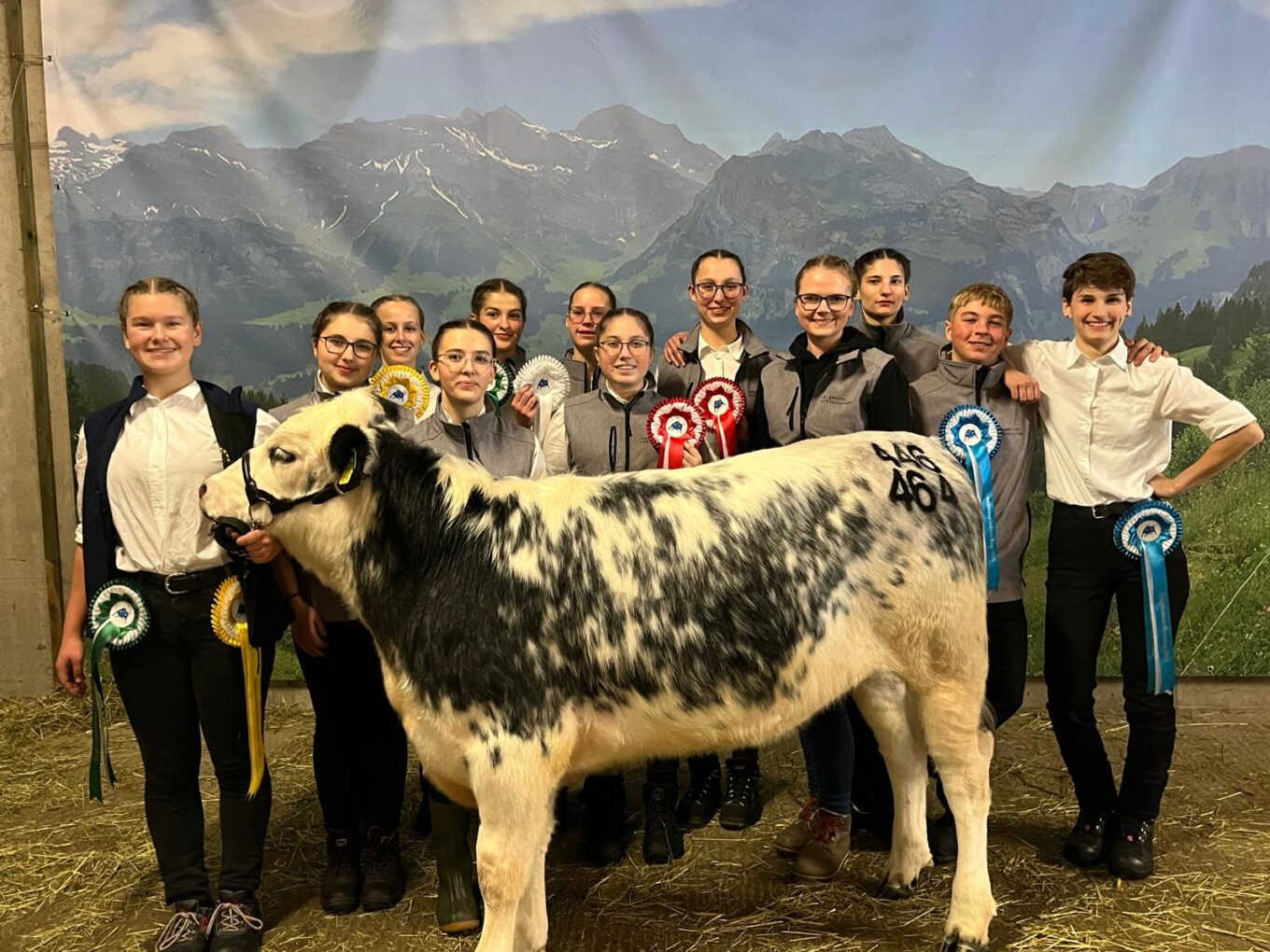 Jungzüchter:innen beim Landesvorführwettbewerb in Wieselburg