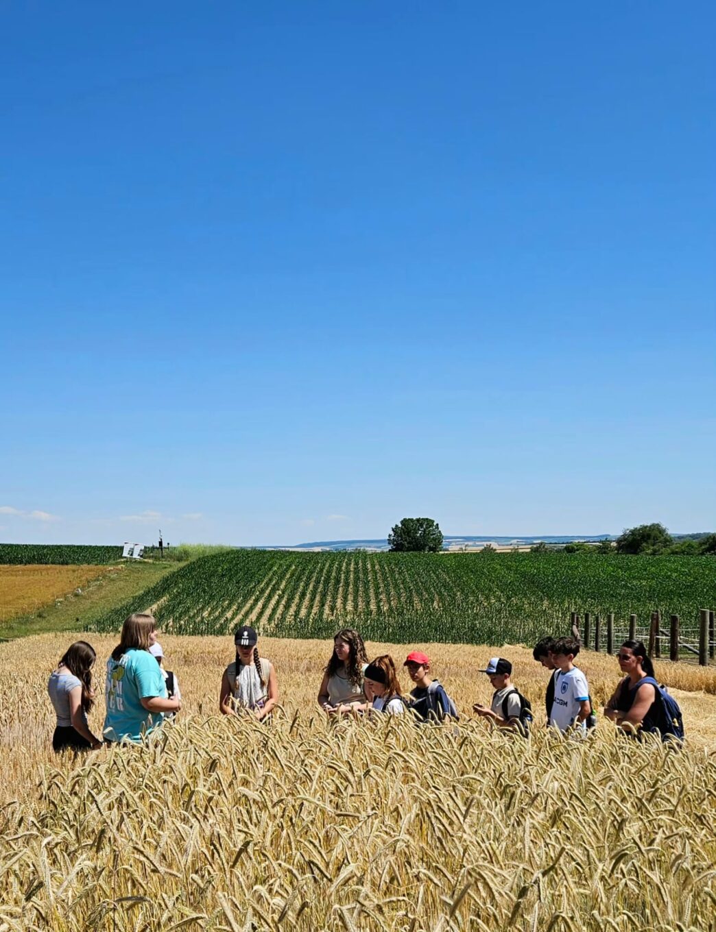 Vom Korn zum Brot – Landwirtschaft zum Angreifen