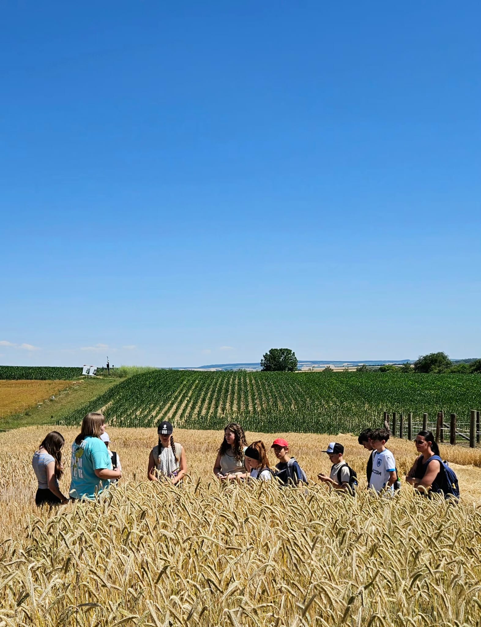 Vom Korn zum Brot – Landwirtschaft zum Angreifen